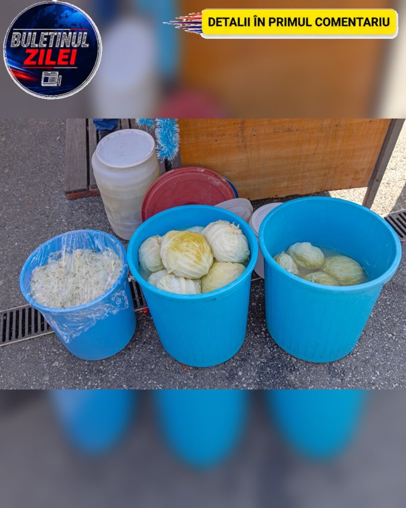 De ce se înmoaie varza și NU se acrește? Secretul pe care gospodinele refuză să ți-l spună